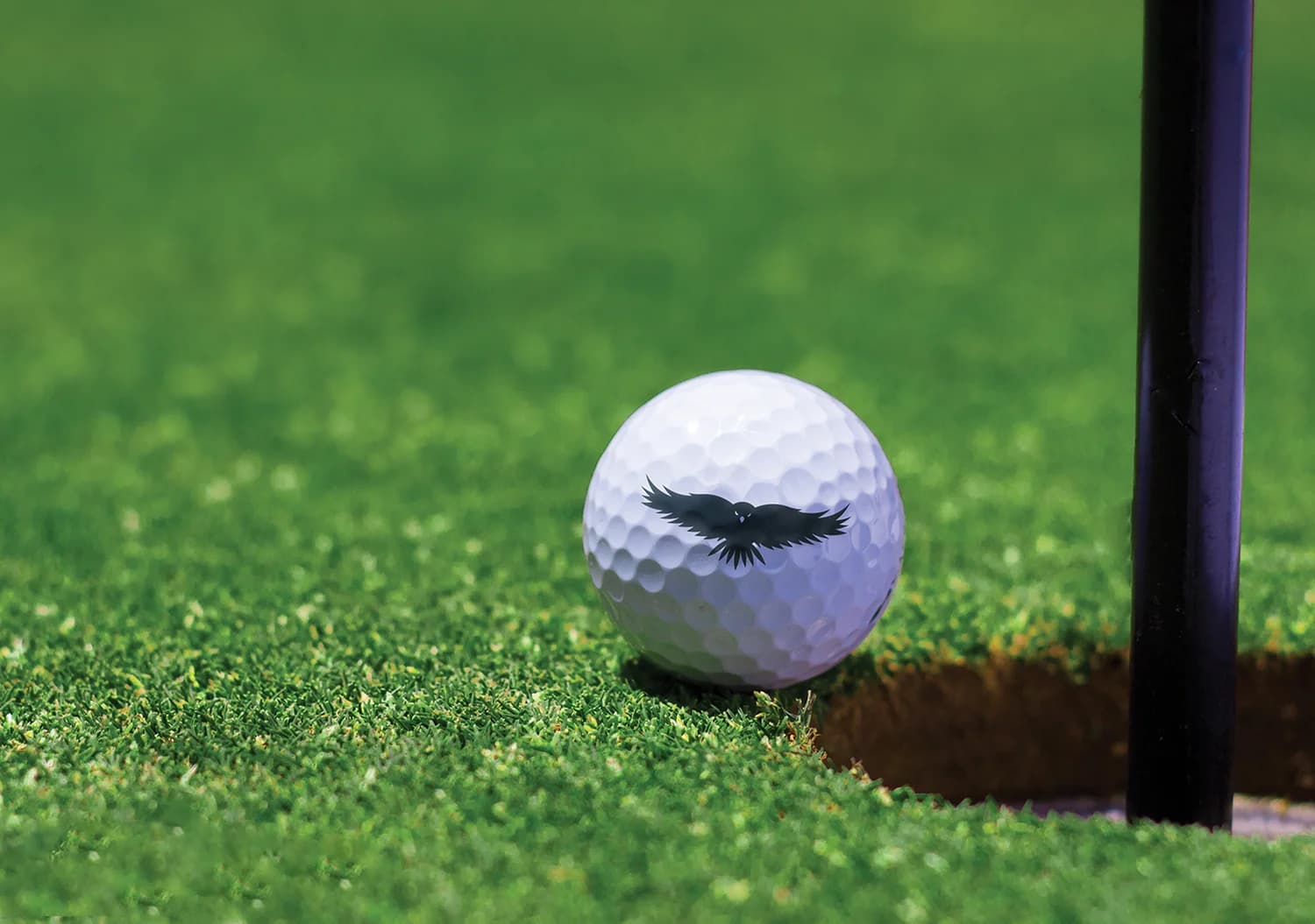 Flight School Golf Ball